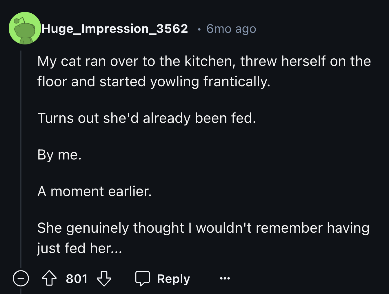 screenshot - Huge_Impression_3562 6mo ago My cat ran over to the kitchen, threw herself on the floor and started yowling frantically. Turns out she'd already been fed. By me. A moment earlier. She genuinely thought I wouldn't remember having just fed her.